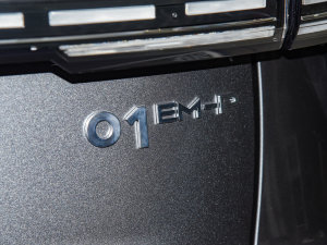 2023款1.5TD EM-P PM 细节外观