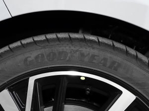 20231.5T EM-F PM ݆̥Ʒ