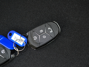 20172.0T (q)Ͱ V ܇耳