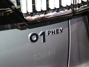 20181.5T PHEV Pro V ^