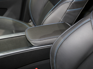 20181.5T PHEV Pro V g