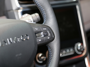 20181.5T PHEV Pro V п؅^