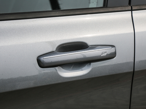 20181.5T PHEV Pro V {T