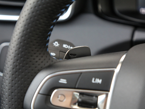 20181.5T PHEV Pro V п؅^