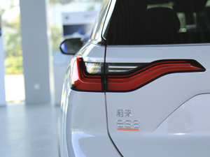 2020款415km 基准版 6座版 细节外观