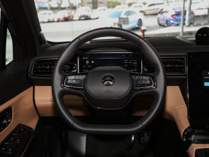 2022款75kWh 六座版 方向盘