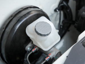 2021���M(j��n)���� 1.5L ���m�� ����