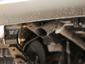 2021���M���� 1.6L ���m�� �Ś��