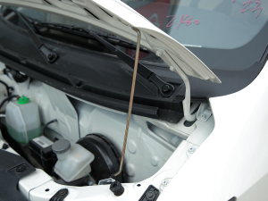 2021���M(j��n)���� 1.6L ���m�� ����