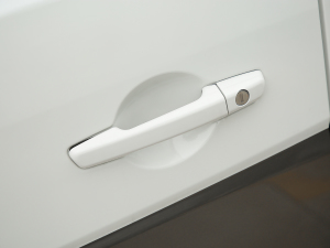 2021����ؔ�� 1.5L ���m�� ���{�T����