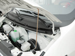 2021����ؔ�� 1.5L ���m�� ����