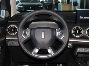 2018款2.0T 两驱超豪型 国V 方向盘