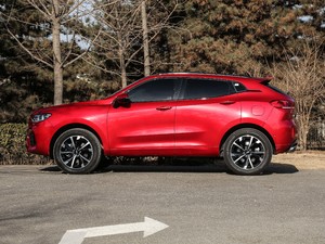 2019款升级款 2.0T 四驱旗舰型 国V 正侧（左）
