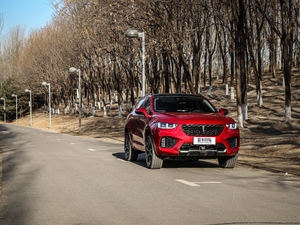 2019 2.0T (q)Ş V w^