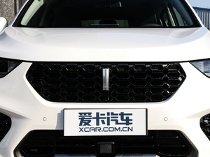 2019款升级款 2.0T 两驱终结版 国V 中网