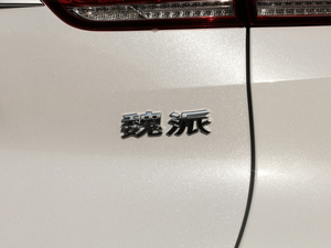 2019款升级款 2.0T 两驱终结版 国V 细节外观