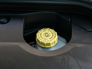 2019 2.0T (q)KY(ji) V 