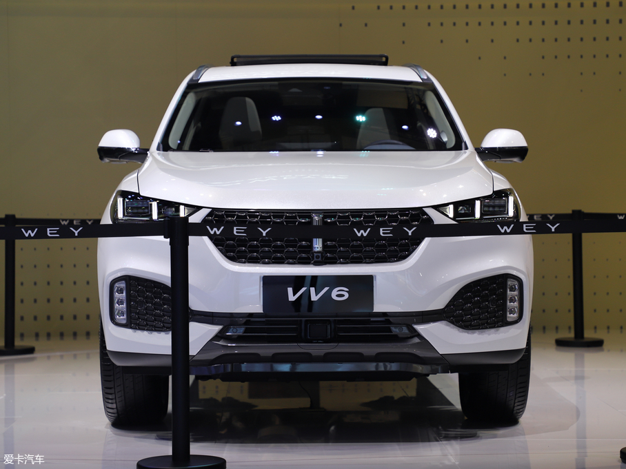 2019κ VV6 Collieа