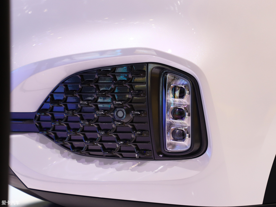 2019��κ�� VV6 Collie���а�