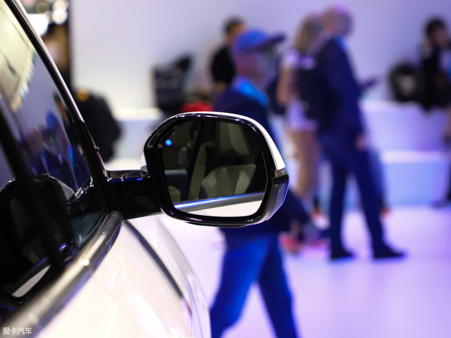 2019��κ�� VV6 Collie���а�