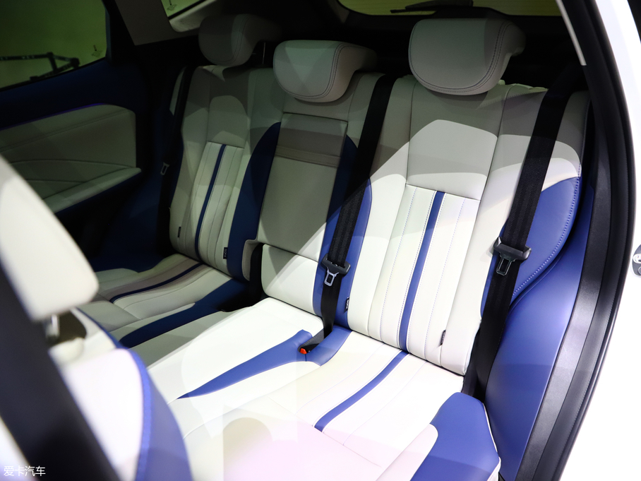 2019��κ�� VV6 Collie���а�