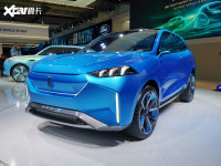 ���w���^WEY-S��ǰ45��