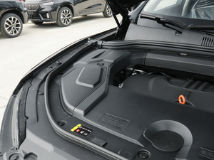2020款1.5T 颜先锋 其它