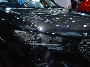 20212.0T (q)+ (x)(ji)^