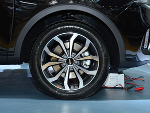 20212.0T (q)+ (x)(ji)^