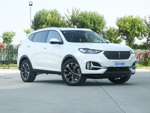 20212.0T (q)o(h)+ w^