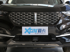 2021款2.0T 四驱智驭+ 中网
