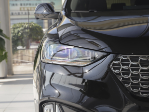 20212.0T (q)ͯo (x)(ji)^