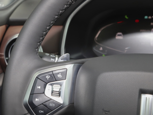 2021款2.0T 两驱儿童呵护版 中控区