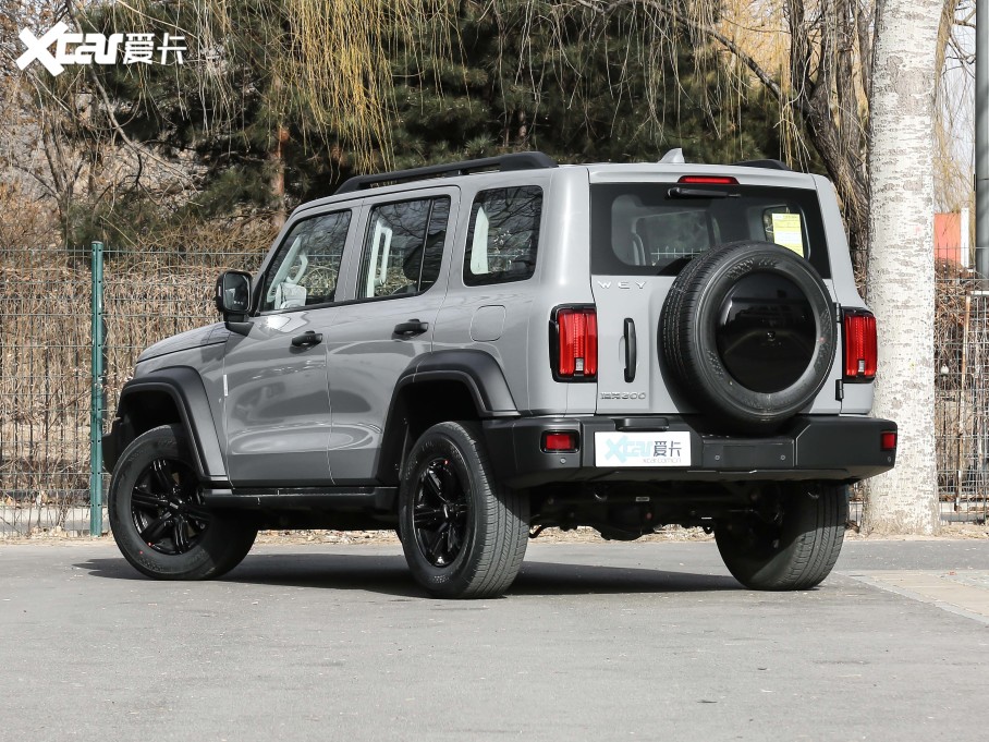 2021̹300 ԽҰ 2.0T (zhn)