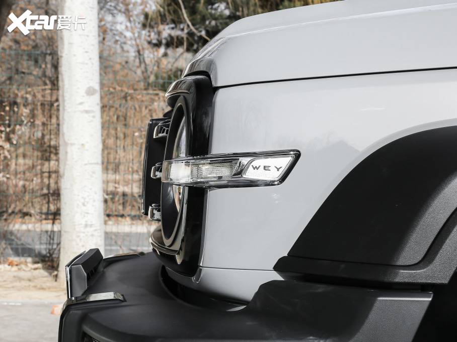 2021̹300 ԽҰ 2.0T (zhn)