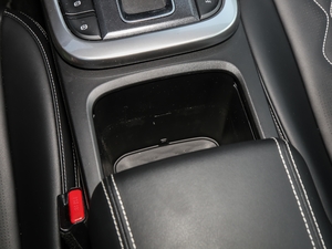 2021ԽҰ 2.0T (zhn) g