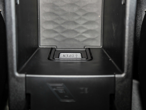 2021ԽҰ 2.0T (zhn) g