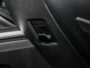 2021ԽҰ 2.0T (zhn) g