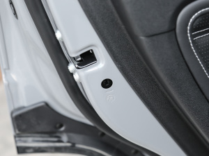 2021ԽҰ 2.0T (zhn) g