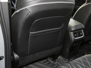 2021ԽҰ 2.0T (zhn) g