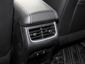 2021ԽҰ 2.0T (zhn) g