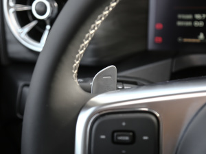 2021ԽҰ 2.0T  п؅^