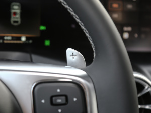 2021ԽҰ 2.0T  п؅^