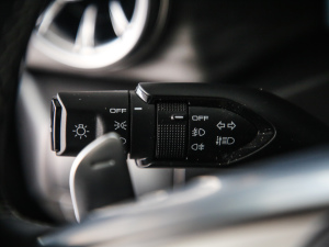 2021ԽҰ 2.0T  п؅^