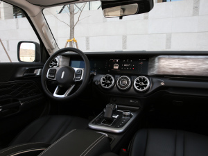 2021ԽҰ 2.0T  п؅^