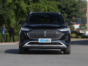 2021款2.0T 两驱特浓版 正前