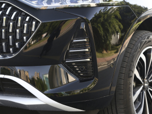 20212.0T (q)؝ (x)(ji)^