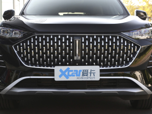 2021款2.0T 两驱特浓版 中网