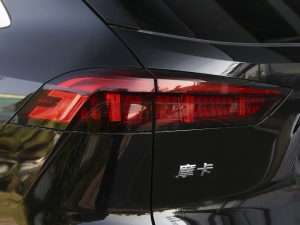 2021款2.0T 两驱特浓版 尾灯