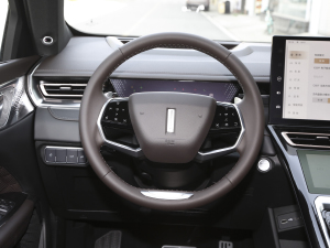 2021款2.0T 两驱特浓版 方向盘